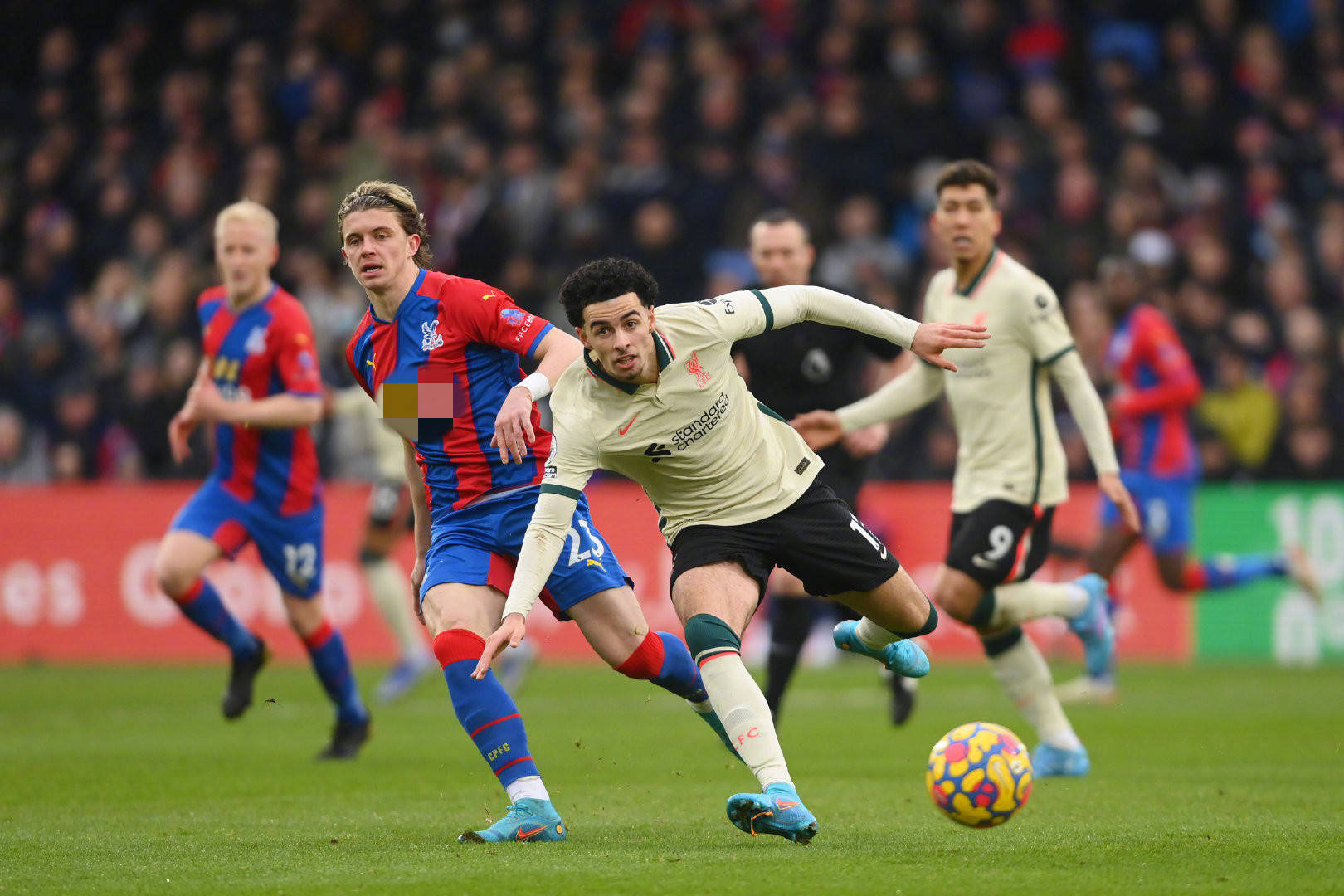 新星闪耀 新星闪耀